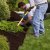 Gibsonton Spring Clean Up by Advance Drainage & Turf Solutions LLC